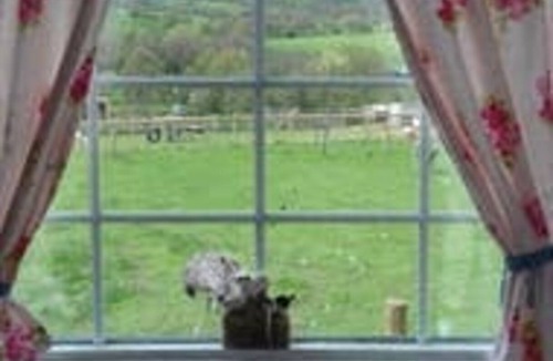 Rhayader Ski Chalet | Ruby Shepherds hut Sleeps 4