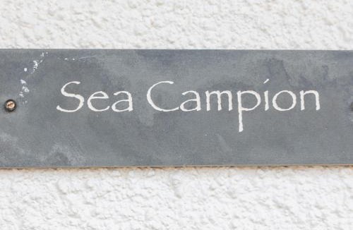 Burgh Island Apartment | Sea Campion