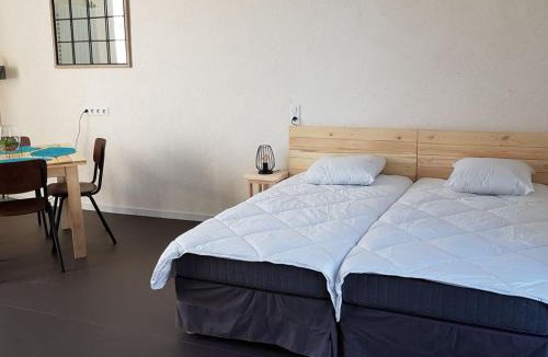 Linge House | Studio écorénové à Lingé avec terrasse et parking, accès mobilité réduite - FR-1-591-189