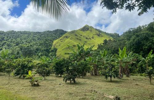 Jayuya Ski Chalet | Templo Esmeralda