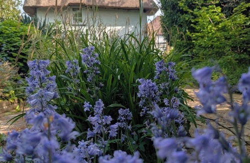 Chichester Cottage | Thatched Cottage with Secure Garden, Dog & Family Friendly!