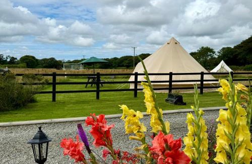 Narberth Other | The Beehive