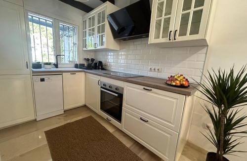 El Paraiso House | The Lemon House