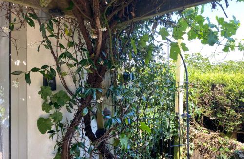 Tiptoe House | The Nest