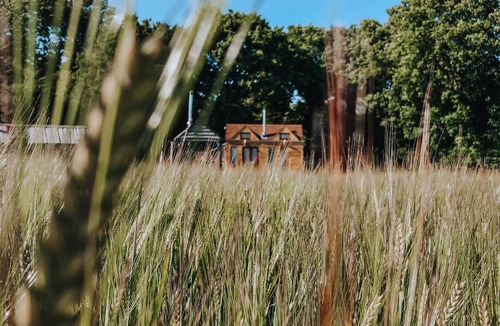 Maidwell Cabin | Tinywood Two, dog friendly with hot tub, sleeps six people in Warwick