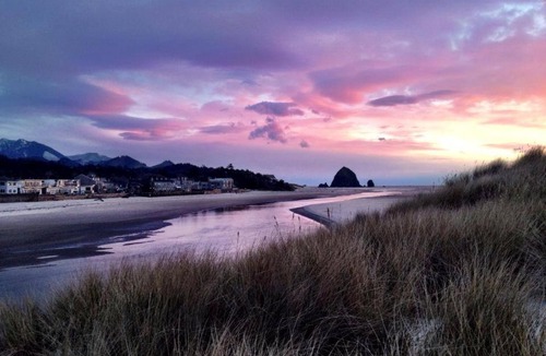 Cannon Beach Hotel | Webb's Scenic Surf