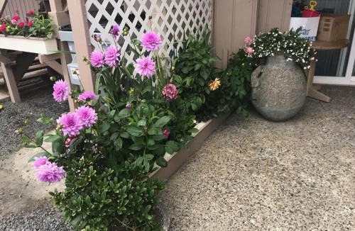 Cannon Beach Hotel | Webb's Scenic Surf