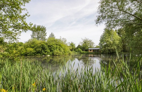 Frankton Cottage | Willow