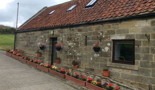 2: Lapwing Sleeps 4 (2 Bedrooms)