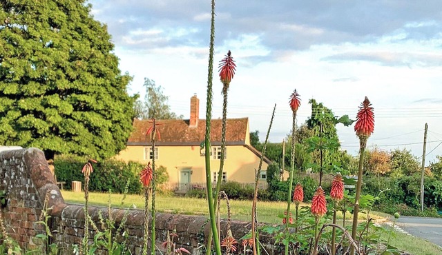 3 bedroom accommodation in Colchester