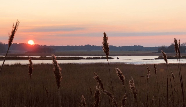 A traditionally furnished cottage with fantastic views across the Alde Estuary