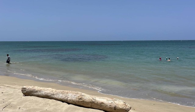 Beachfront Gem - A Tropical Hidden Gem with Mesmerizing Ocean View