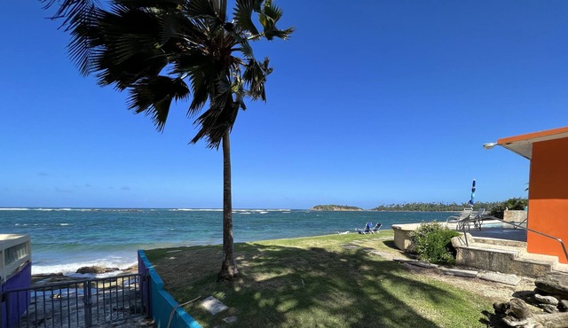 Beautiful apartment/studio- Beachfront pool!