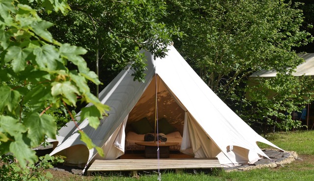 Bluebell Brook Camp Secluded camping in 13 acres of magical meadow and woodland.