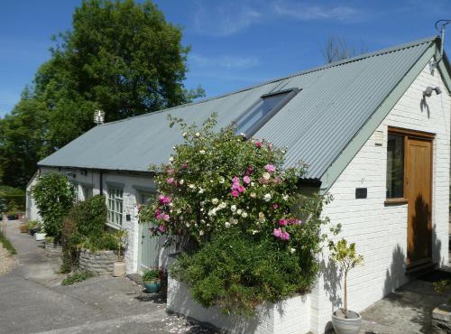 Bracken in Converted Barn
