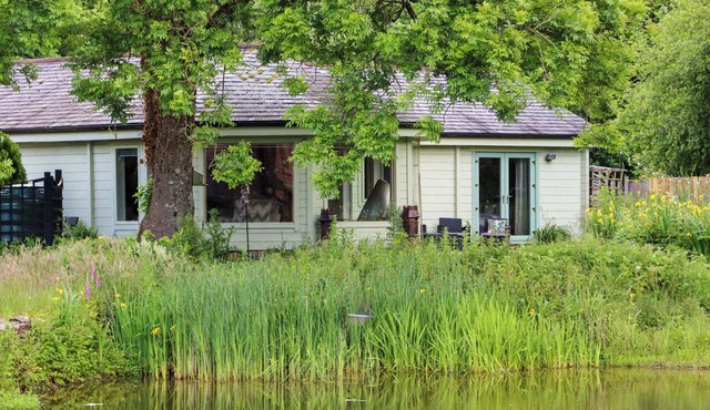 BULRUSH CABIN, with a garden in Longtown