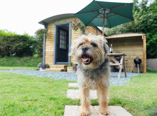 Buttles Shepherd's Hut