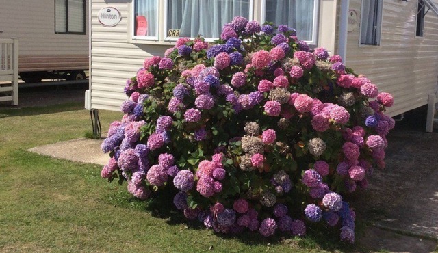 Caravan on 5 Star Holiday Park nr. Beaches and New Forest