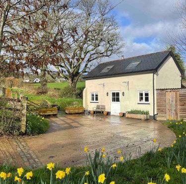 Characterful, Cosy Dartmoor Cottage