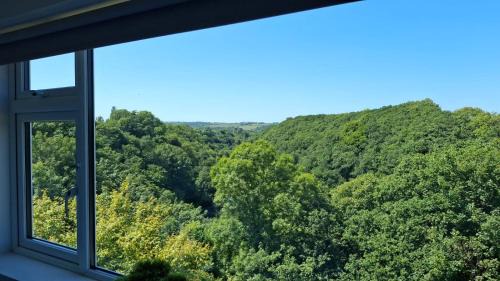 Charming tree top cottage overlooking River Teifi