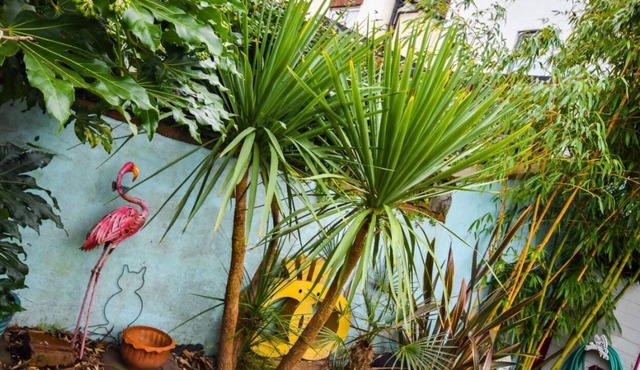 Colourful 3BD Home With Garden in Southville