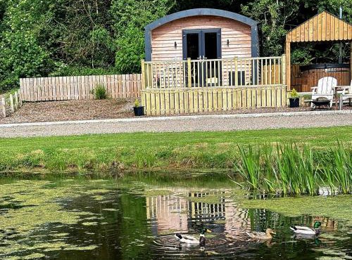 'Cosy Gem' Cabin Woodland Retreat Randalstown NI