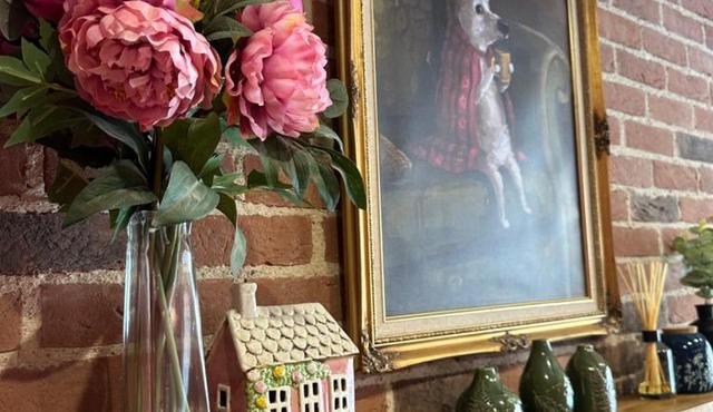 Curiosity Cottage