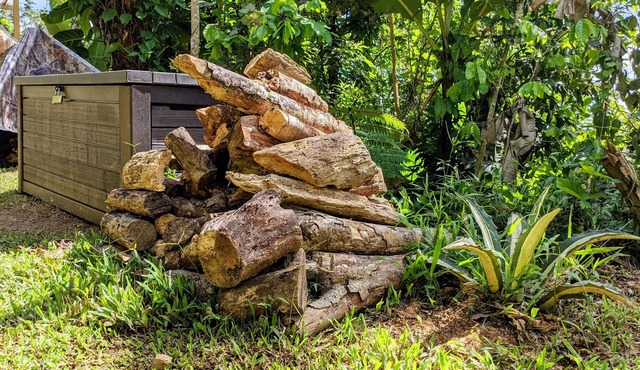 ¡escapada Romántica! Glamping en Burbuja con Jacuzzi Privado Para Dos
