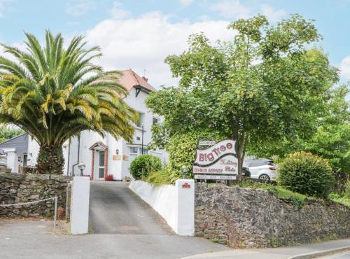 Flat 4, Big Tree Holiday Flats