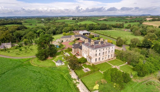 Florida Manor NI - Meadow Green