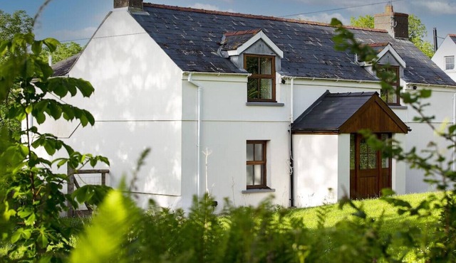 Gilfach Cottage · Cosy Cottage in Wild Countryside by Llys-y-Fran