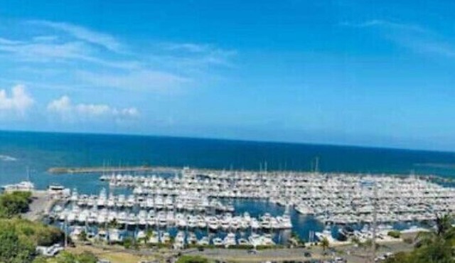 Glo’s Ocean View