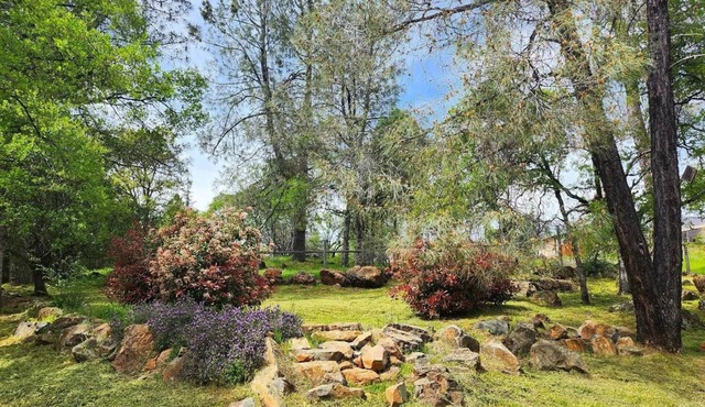 Great 3-bed 3-bath house Alta Sierra, -Golf Course - Like Living in a Forest!