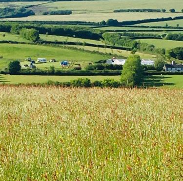 Headgate Farm Camp Site - Pitches Only - Bring your own tent or van
