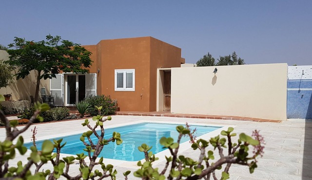 House with pool between gardens and olive farm.