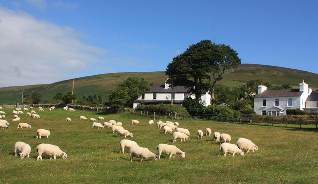 Idyllic Rural Cottage with great panoramic views - 5 min from Laxey