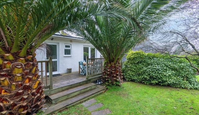 Large Apartment, Ideal for 2 families sharing, dog friendly, located off Main Rd