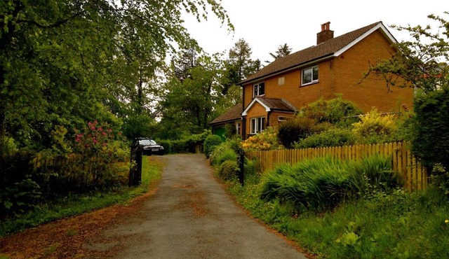 Llys y Coed
