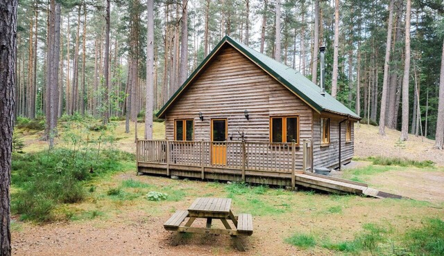Lovely apartment for 4 people with TV, patio and pets allowed