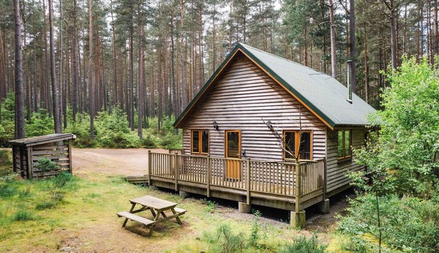 Lovely apartment for 4 guests with TV, patio and pets allowed