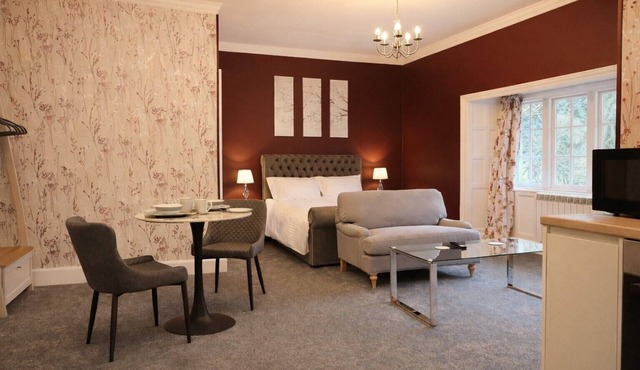 Luxury Studio Apartment