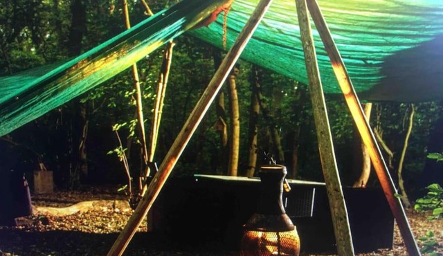 Magical Forest yurt