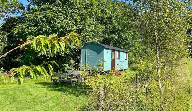 Misty Shepherds Hut - Ukc9298