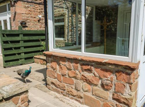Mousehole Cottage