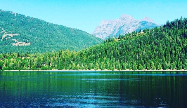 Nature Lover's Dream. Tiny Cabin with Grand Serenity.