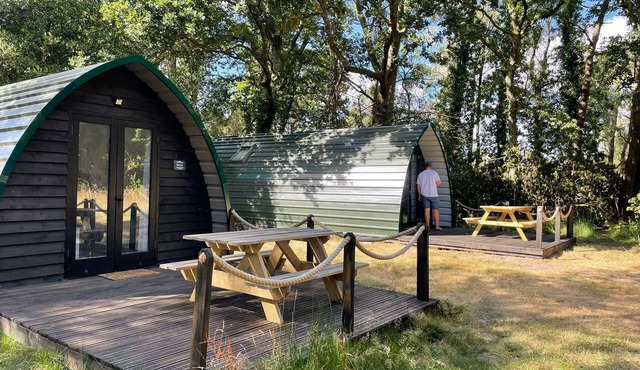 Nightjar Cabin at Cloudshill Glade