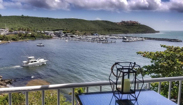 Ocean Panoramic Views, Walk to Marina & Tours
