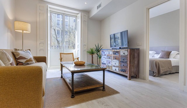 Olavide VII apartment in Madrid