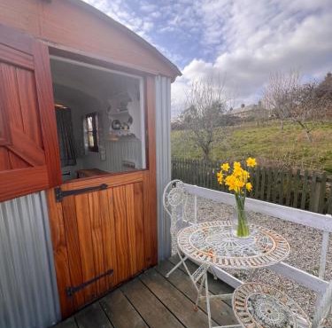 Orchard Shepherds Hut