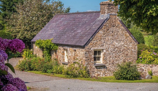 Primrose Cottage - HW7100